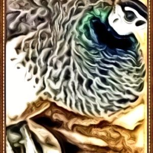 Meet your Posher, Paula